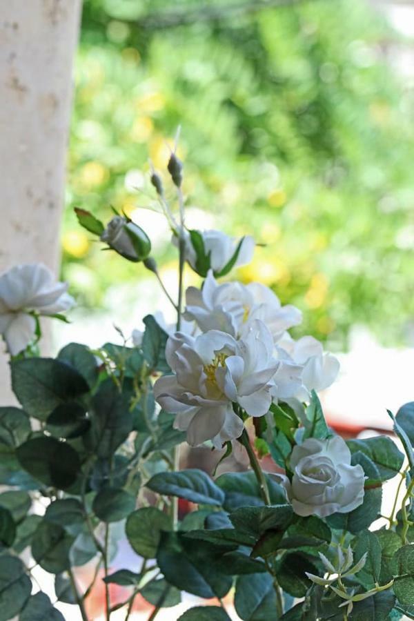 Beautiful Studio In Traditional Afytos Halkidiki-Uvc Sterilized Buitenkant foto